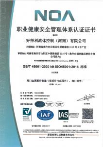 ISO證書2025職業(yè)健康安全管理體系證書 NOA2403628